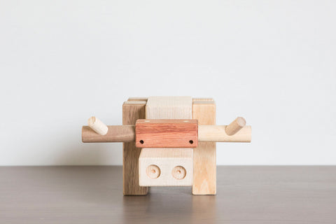 Jean-Pierre the Longhorn Bull