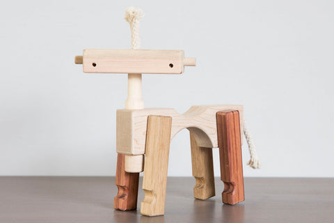 Eleanor the Wild Mustang